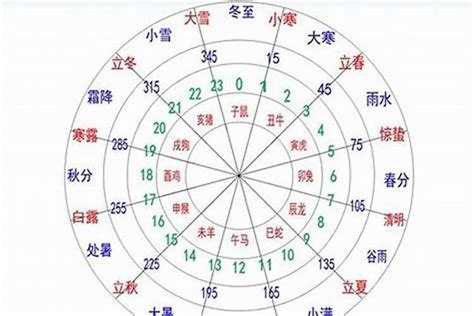 如何看自己五行|五行查询免费,测五行生辰八字,测算自己的五行